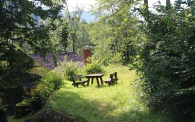 Aktionswoche-1-September-2016-400x250