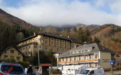 adventmarkt_freiland_tag1_001-400x250